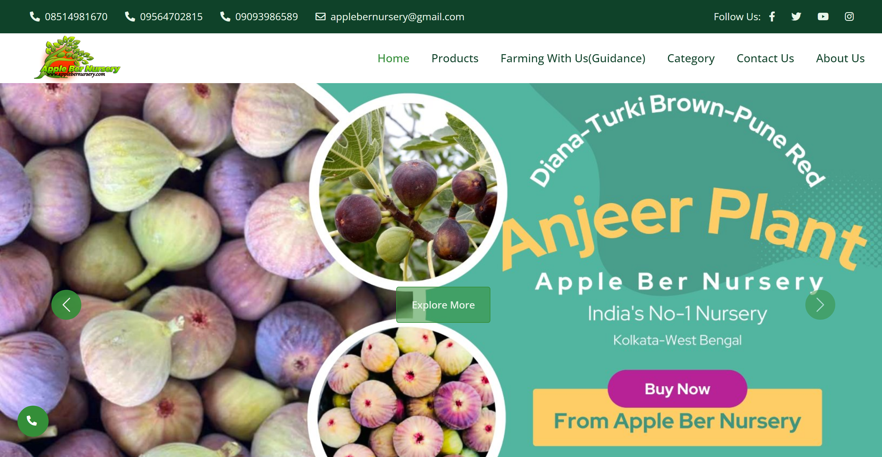 Appleber Nursery